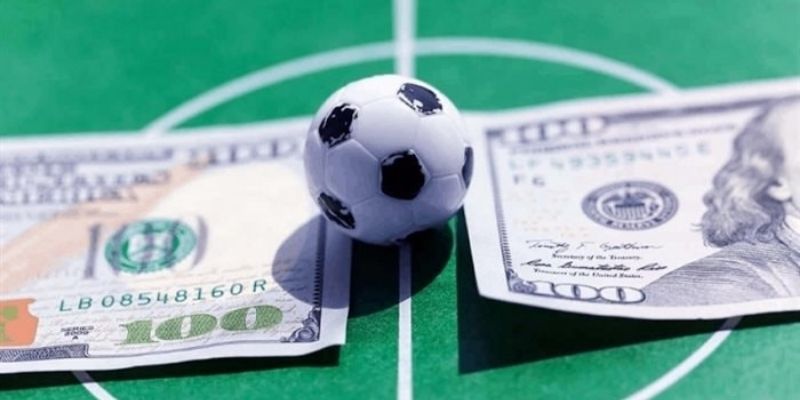 Có cần nhớ thuật ngữ không và ghi nhớ kiểu gì?